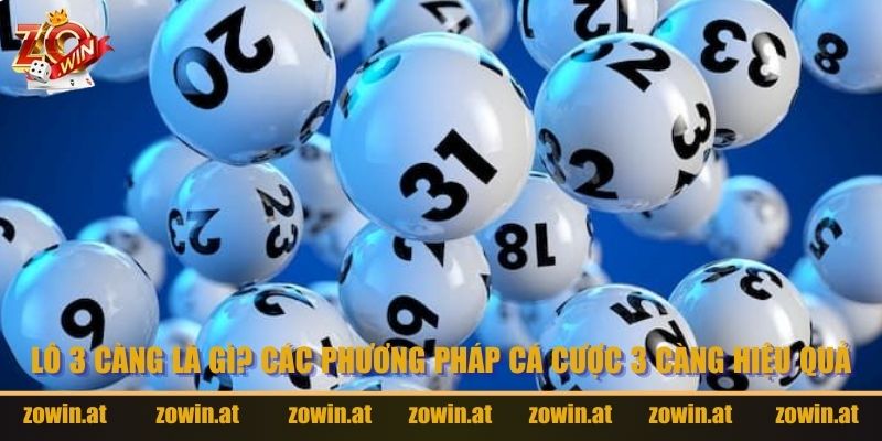 Lô 3 Càng Là Gì? Các Phương Pháp Cá Cược 3 Càng Hiệu Quả