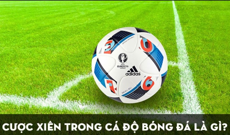 Xiên Kèo Đặc Biệt Chia Sẻ Cách Chơi Cực Đỉnh Từ Cao Thủ Zowin